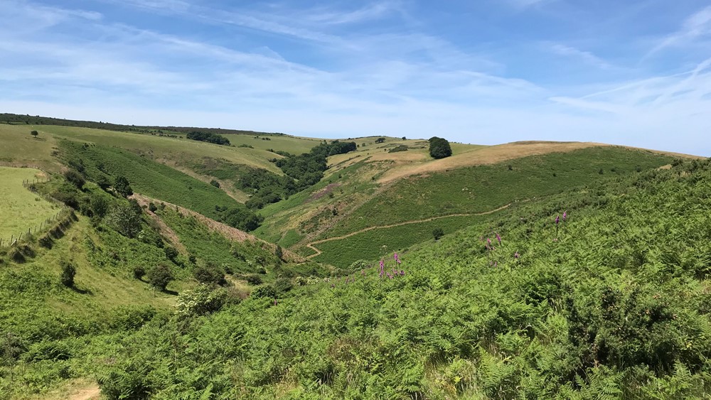 Minehead to Bratton walk